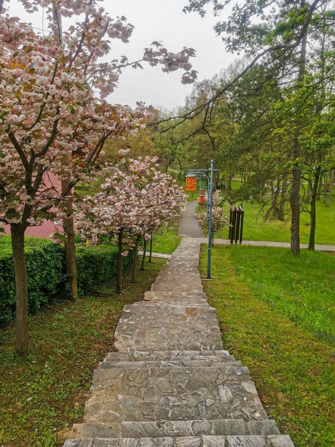 Apartman Japanski vrt, Centar Vrnjačka Banja Exteriör bild