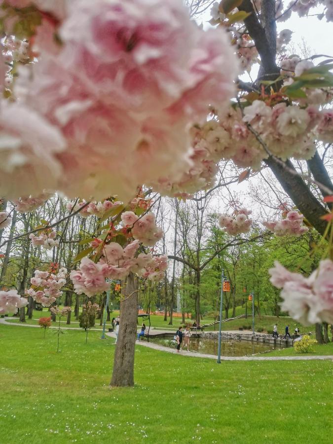 Apartman Japanski vrt, Centar Vrnjačka Banja Exteriör bild